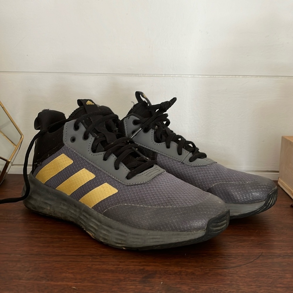 Adidas Lightmotion basketball shoes